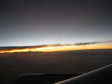 １１１IMG_0006.gif