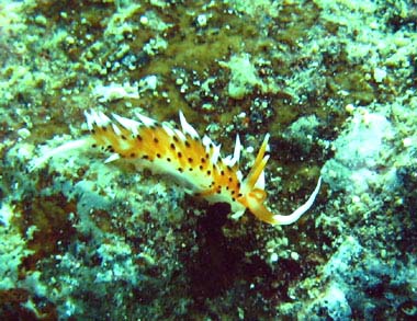 77IMG_1376.jpg