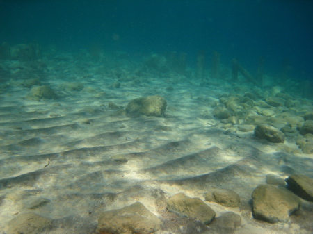 IMG_0040 IMG_0040