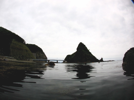 IMG_1818 IMG_1818