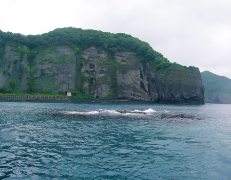 IMG_1917 IMG_1917
