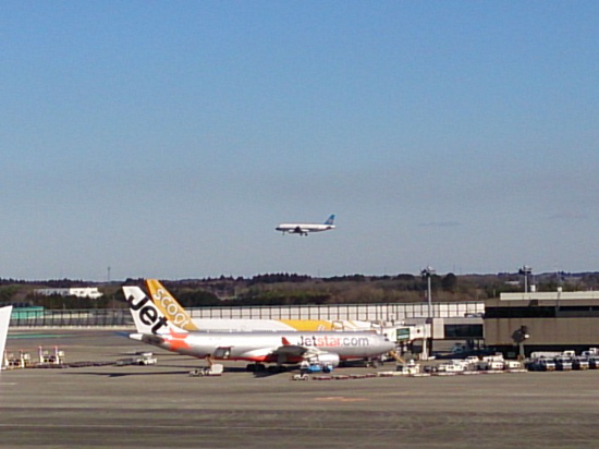 DSC_0308飛行機