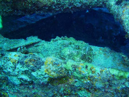 025P2251290