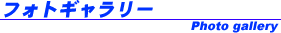 JSBA���F�@�W���j�A�X�m�[�{�[�h�X�N�[��